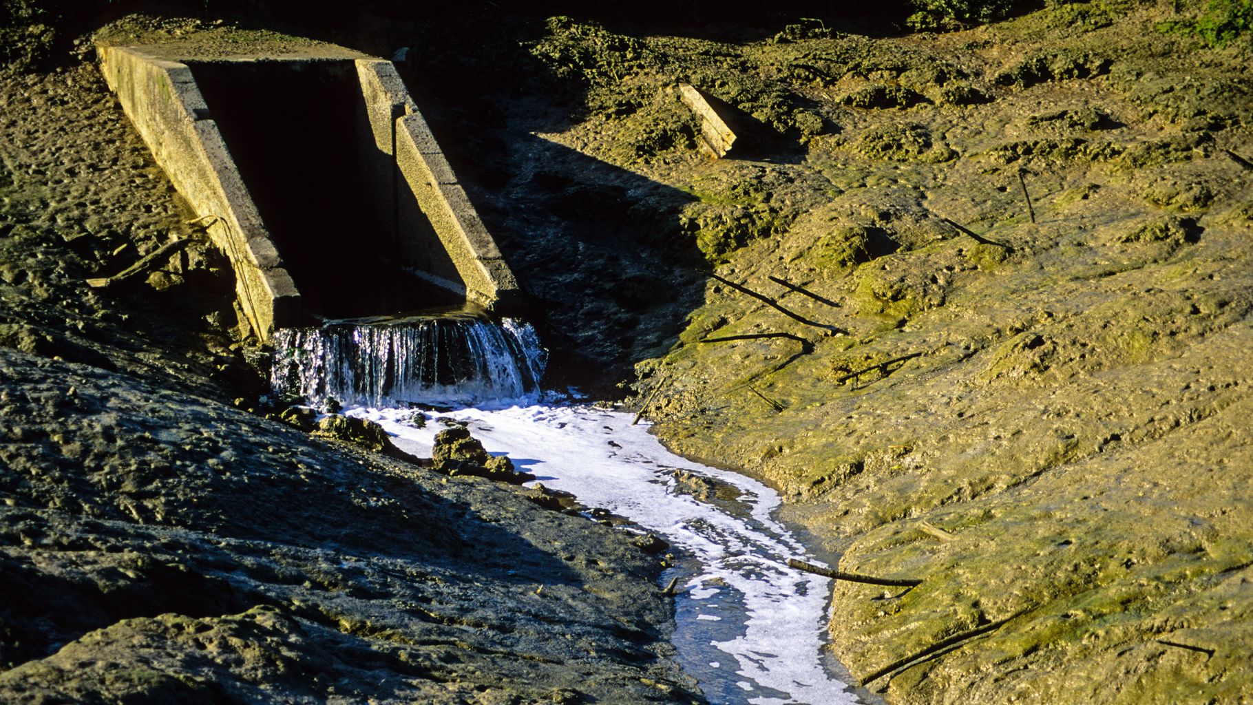 Southern Water slammed in new report on pollution News Greatest